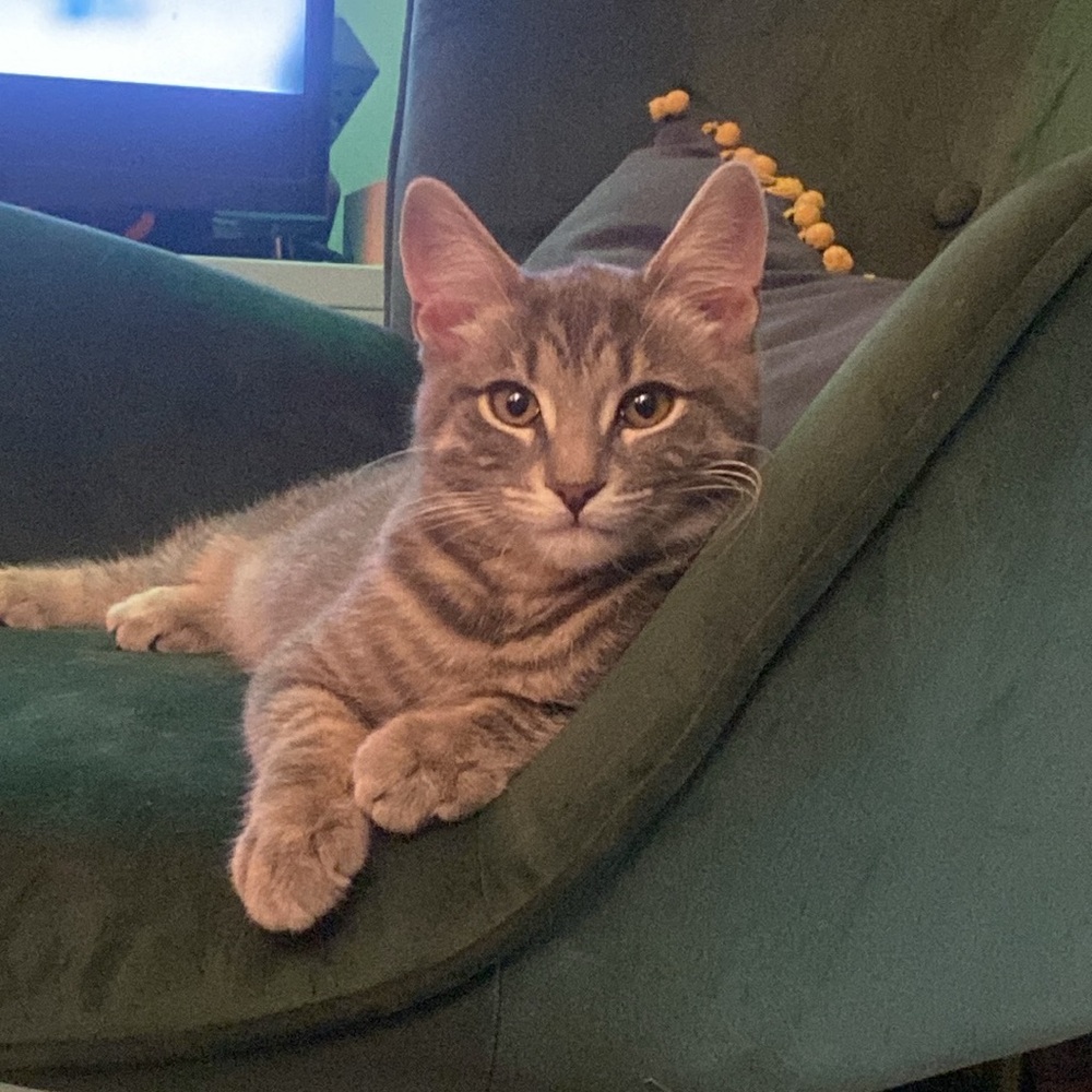 Meet your Posher, Sabrina